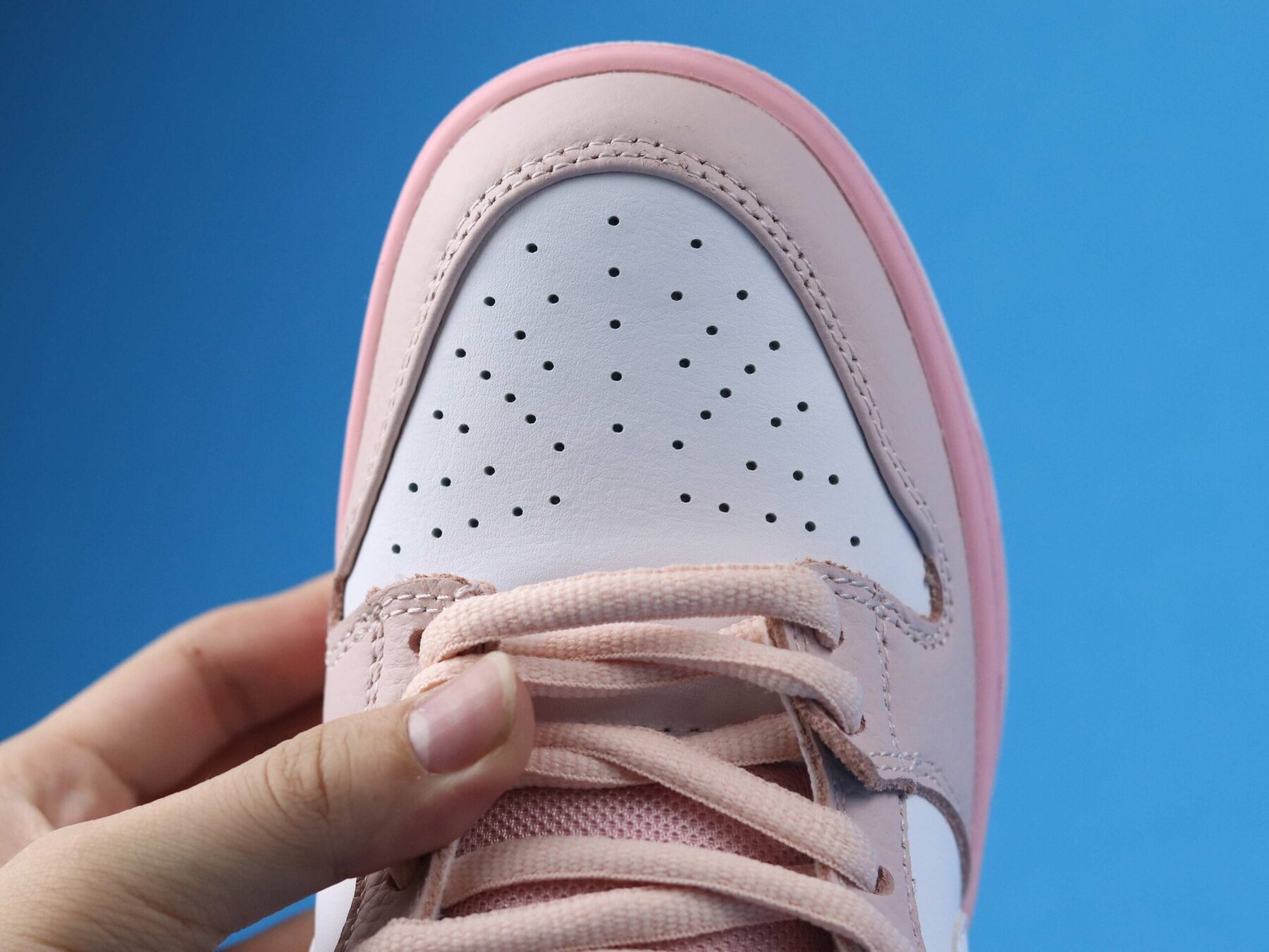 SB Dunk Low Pink Pigeon - Image 4