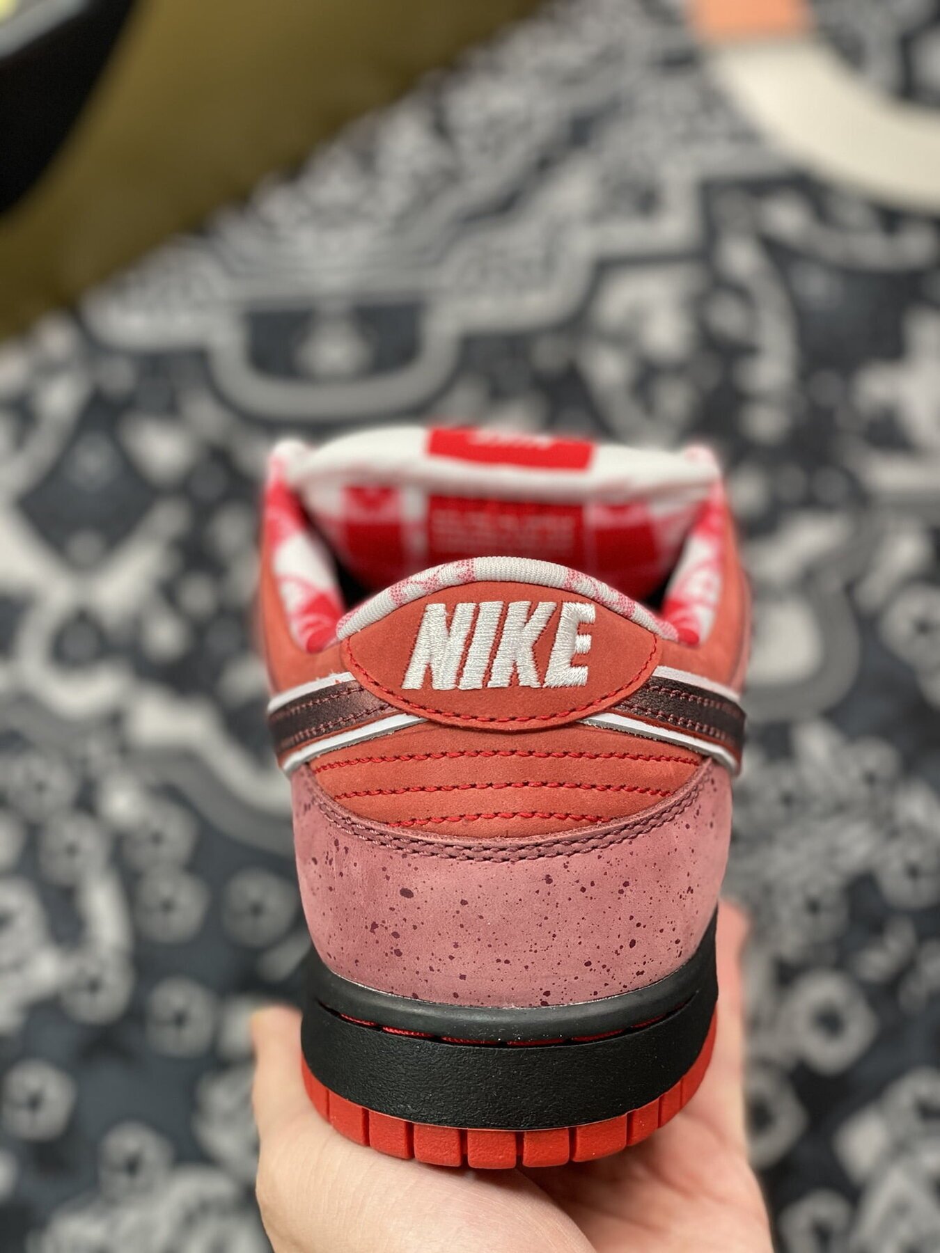 Dunk SB Low Red Lobster - Image 8