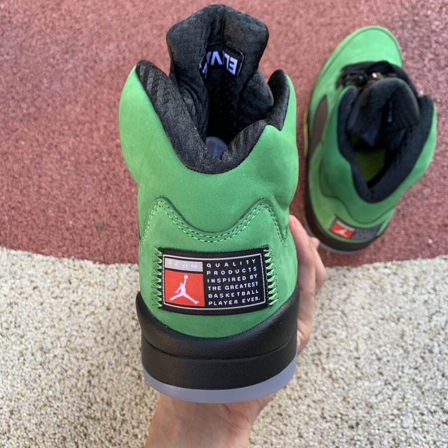 AJ5 Retro SE Oregon - Image 6