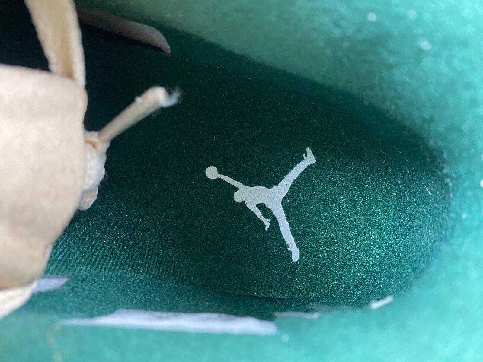AJ4 Venusuar - Image 5