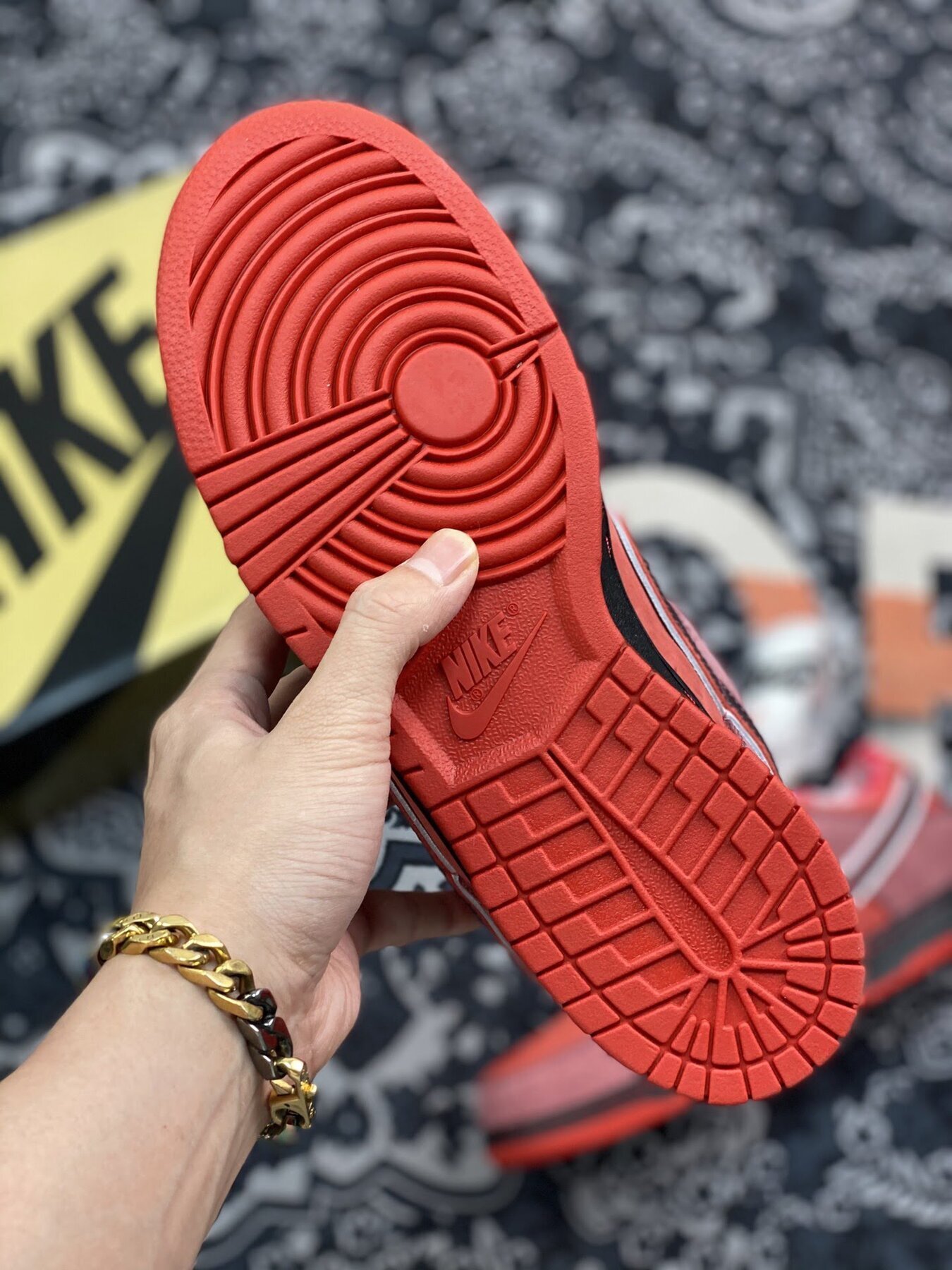 Dunk SB Low Red Lobster - Image 9