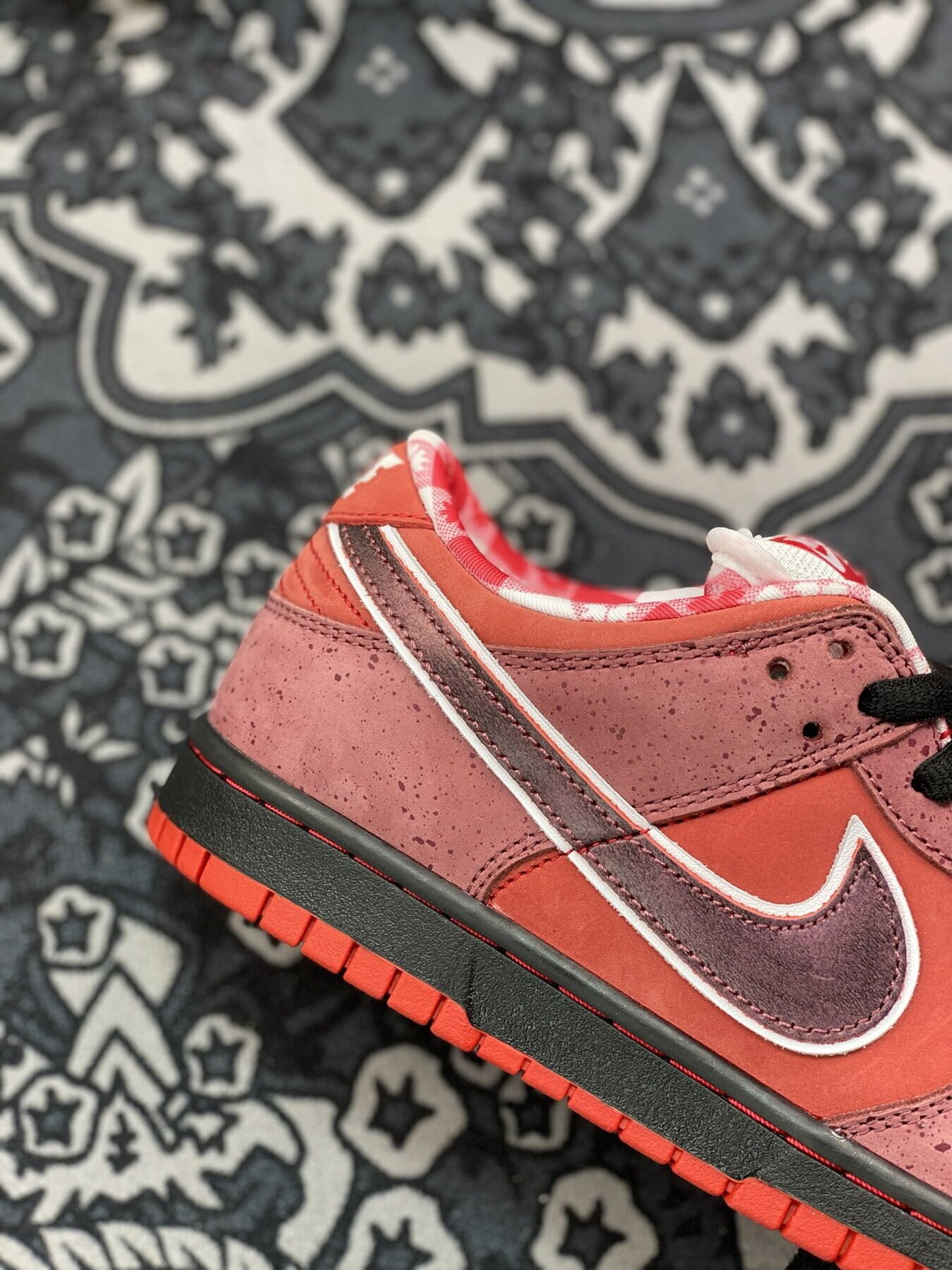 Dunk SB Low Red Lobster - Image 12