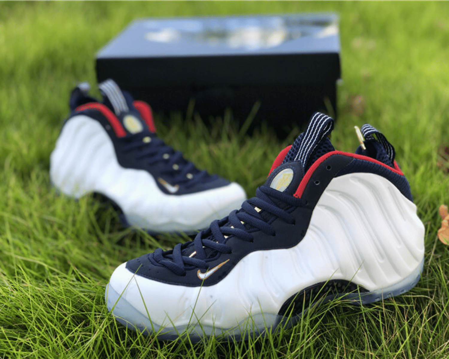 Air Foamposite Olympic - Image 8