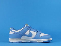 Dunk Low Coast - Image 7