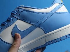 Dunk Low Coast - Image 8