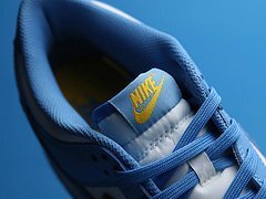 Dunk Low Coast - Image 12