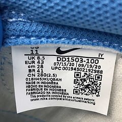 Dunk Low Coast - Image 19