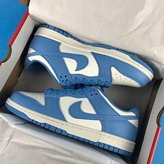 Dunk Low Coast - Image 20