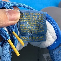 Dunk Low Coast - Image 21