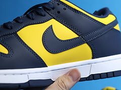 Dunk Low Michigan (2021) - Image 6