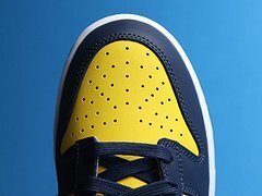 Dunk Low Michigan (2021) - Image 8