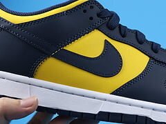 Dunk Low Michigan (2021) - Image 11