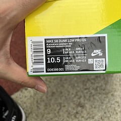 SB Dunk Low Wasted Youth - Image 10