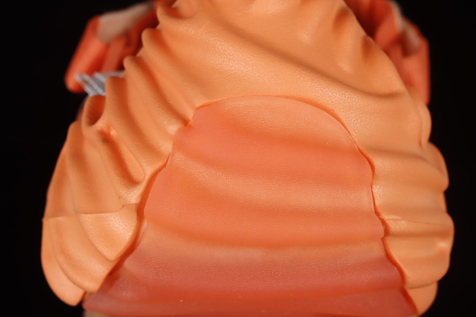 Salehe Bembury x Crocs Pollex Clog Orange - Image 6