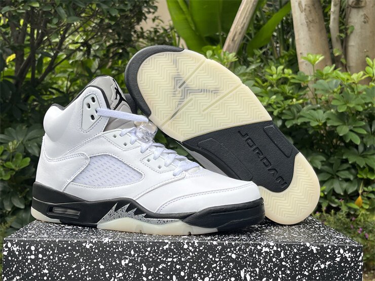 AJ5 reverse metallic - Image 6