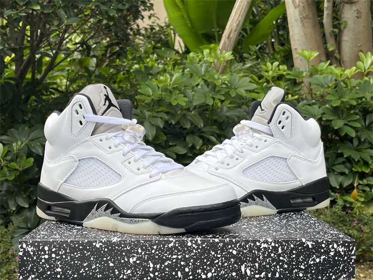 AJ5 reverse metallic - Image 9