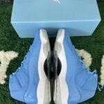 QC order 115434
