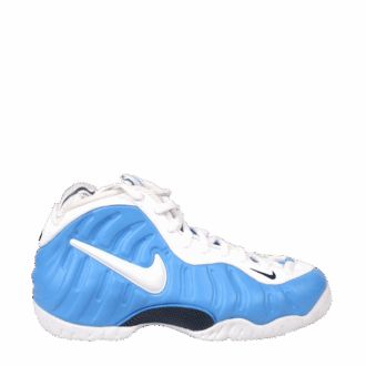 Air Foamposite Pro University Blue