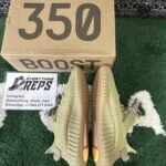QC order 117669