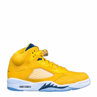 AJ5 Michigan PE