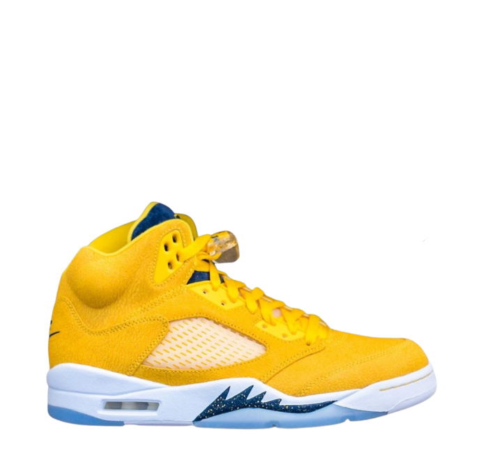 AJ5 Michigan PE