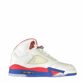 AJ5 Rip Hamilton PE