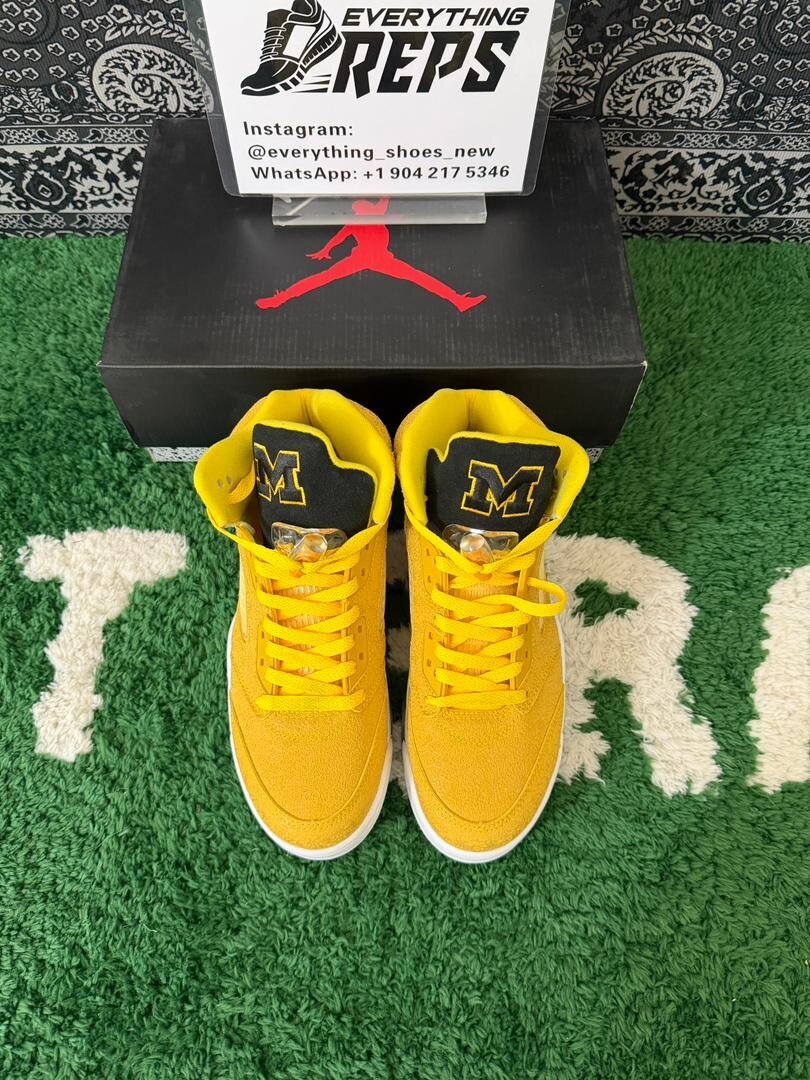 AJ5 Michigan PE - Image 4