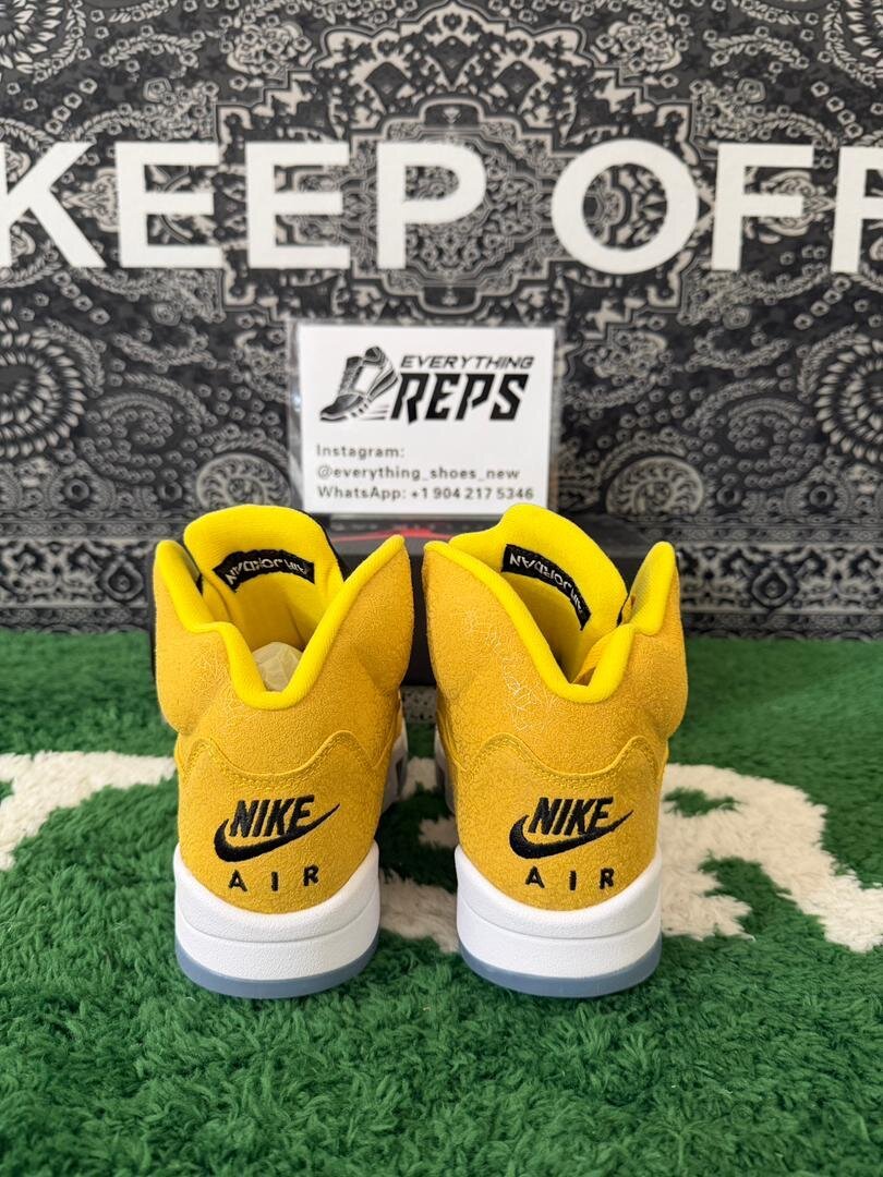 AJ5 Michigan PE - Image 3