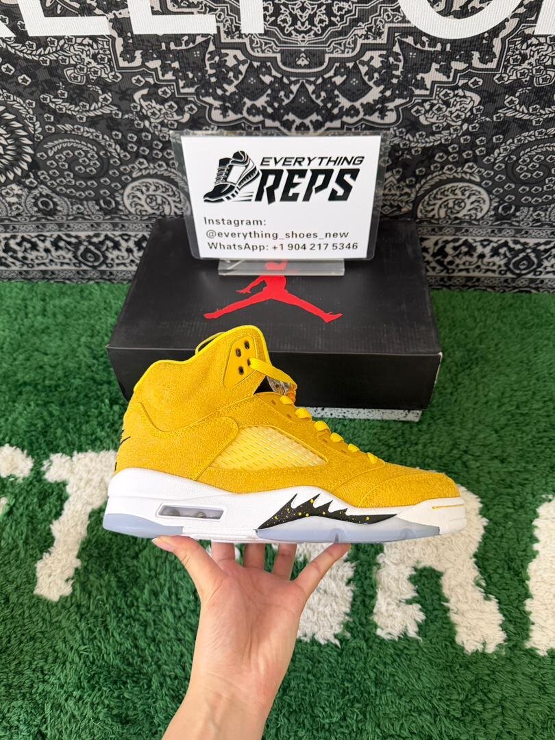 AJ5 Michigan PE - Image 7