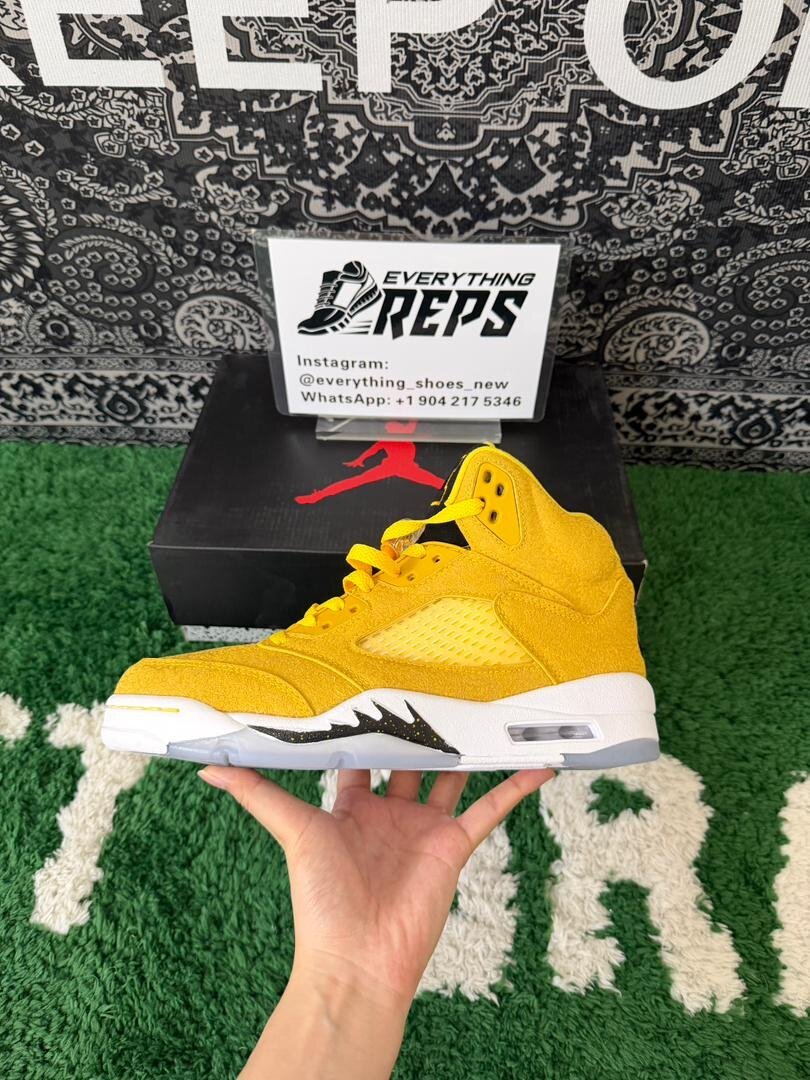 AJ5 Michigan PE - Image 6