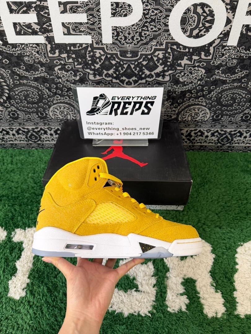 AJ5 Michigan PE - Image 5