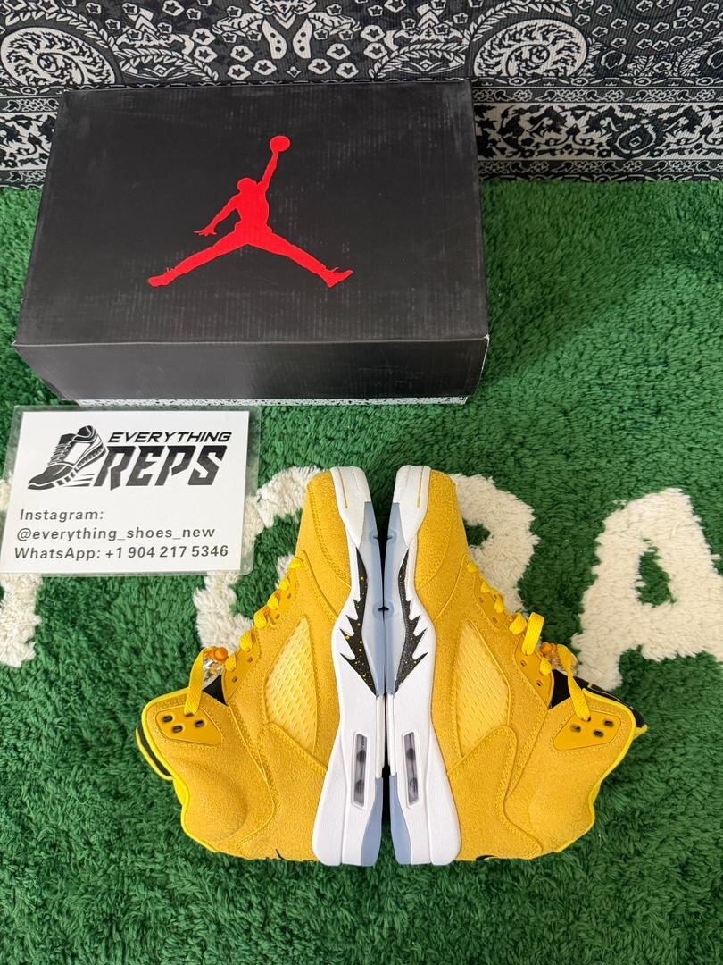 AJ5 Michigan PE - Image 2