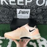 QC order 126564