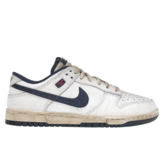 N1ke Dunk Low Stranger Things Phantom